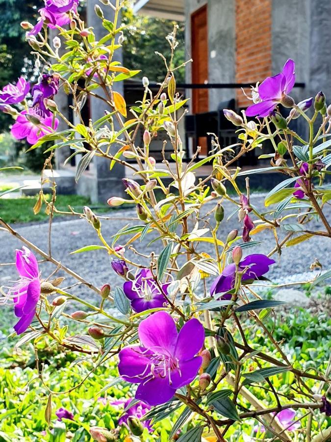 B-Tel Chomthong Resort Chiang Mai Csomthong Kültér fotó